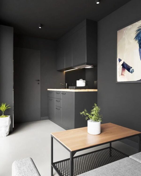 5-46.jpeg Tiny House Modular L15 – Confort Premium en 14 m²