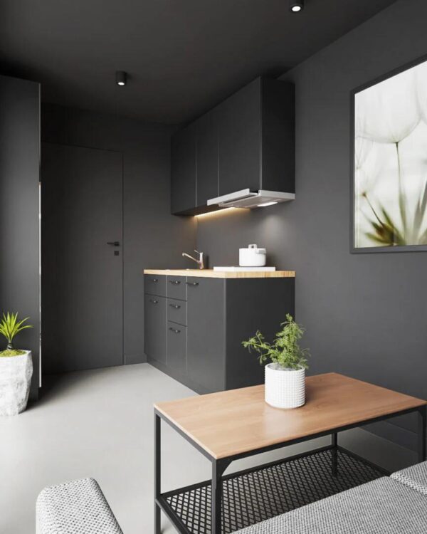 6-38.jpeg Tiny House Modular L15 – Confort Premium en 14 m²